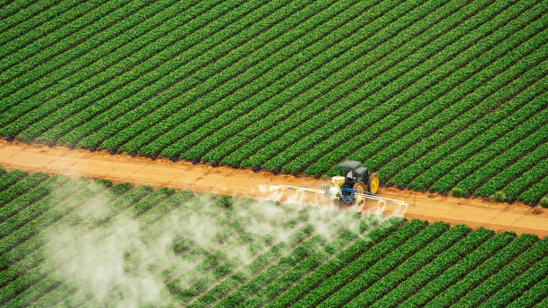 Best Mosquito Control Services  in Lake Success, NY
