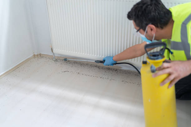 Best Residential Pest Control  in Lake Success, NY