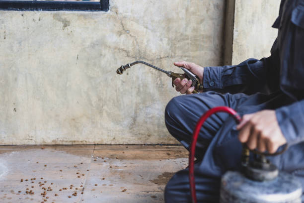 Best Wasp Removal Services  in Lake Success, NY